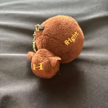 양문학 히츠지짱 봉제인형 키링 이마코코 브라운