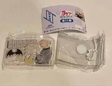 JO1 미테코레 시로이와 루키