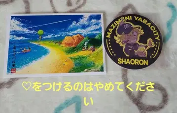 진지하게 야바시티 샤오롱 코스터