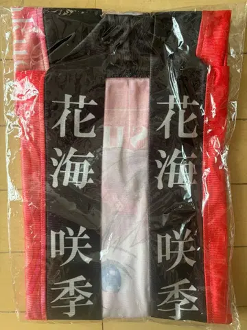 하나미 사키 학원 아이돌 마스터 1st 하피