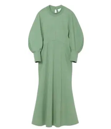 mame kurogouchi 이세탄 별주 컬러 클래식 코튼 드레스