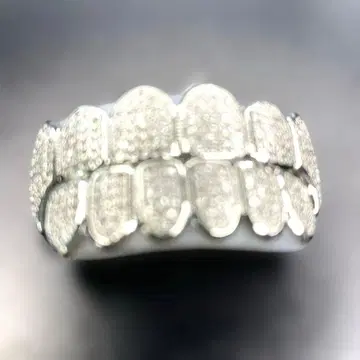 그릴즈 지르코니아 덧니 모이사나이트