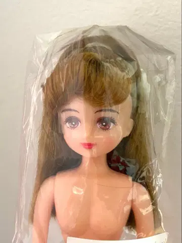 리카짱 캐슬 파렛트f