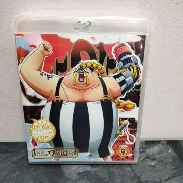 원피스 20th SEASON 와노쿠니 편 PIECE 9