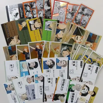 하이큐!! 명함 캐릭터 카드 CA SAN JUAN 학생증