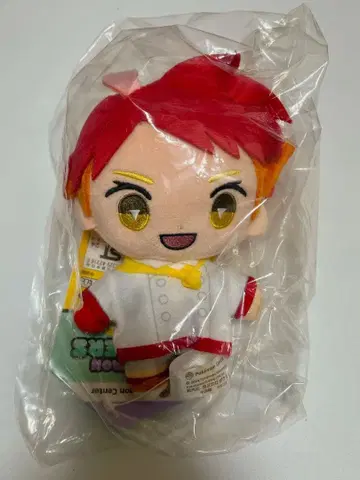 새상품 포켓몬 마스코트 아카마츠 봉제 인형