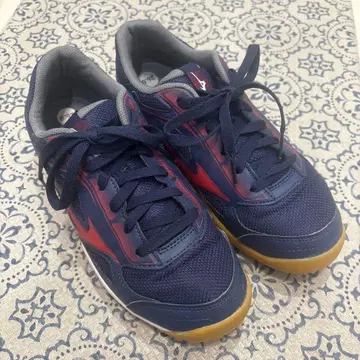 미즈노 스니커즈 26.0cm 체육관 신발