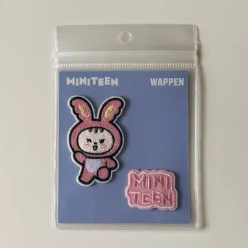 SEVENTEEN MINITEEN 세부치 와펜 정한 조인트럼