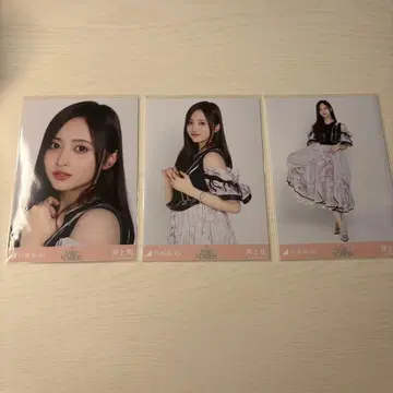 노기자카46 브로마이드 Same numbers