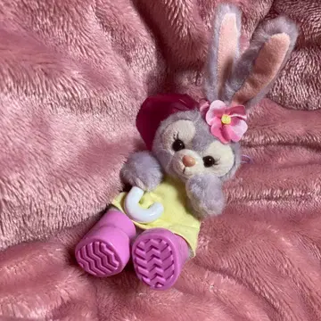 스텔라 루 레이니 데이즈