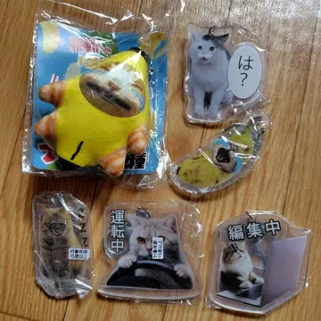 고양이 밈 키링 6개 세트