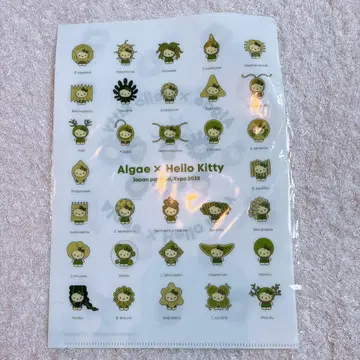 만박 algae 헬로키티 클리어 파일 일본관