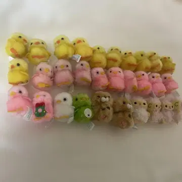 삐요리나 병아리 덕분 30마리 일괄