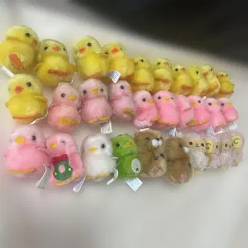 삐요리나 병아리 덕분 30마리 일괄