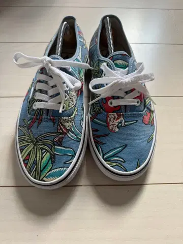 [ 레어 ] VANS AUTHENTIC VAN DOREN