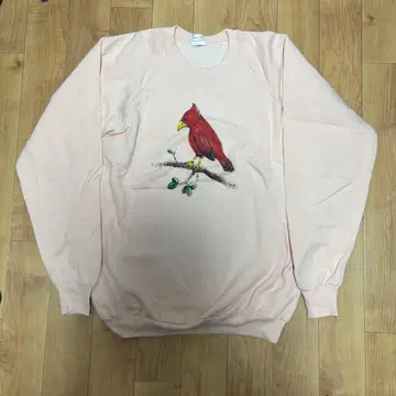 90s fruit of the room hand paint