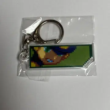 록맨 에그제 코코로 윈도우 키링 불안 캡콤 카페