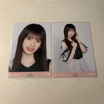 노기자카46 브로마이드 Same numbers