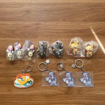 포켓몬 포켓몬스터 포켓몬 센터 블래키 프로토 카이류