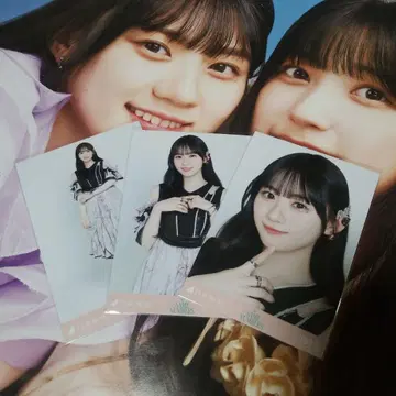 카와사키 벚꽃 same numbers 노기자카46 브로마이드