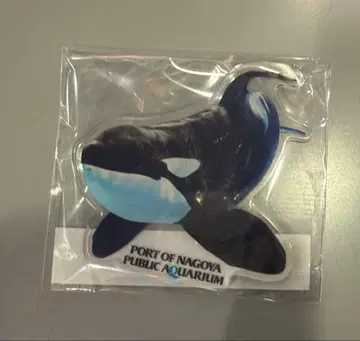 나고야 항 수족관 범고래 아크릴 마그넷 어스