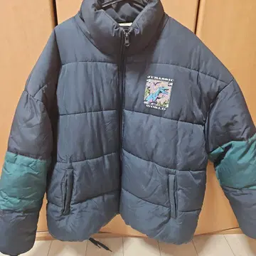 쥬라기 공원 다운 자켓