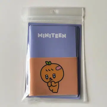 SEVENTEEN MINITEEN 여권 케이스 승관 부규리