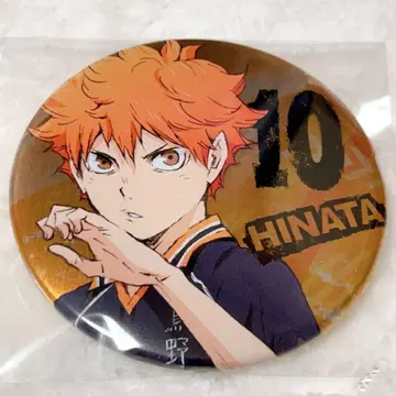 하이큐 히나타 쇼요 캔뱃지