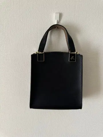 아네스베 블랙 미니 백