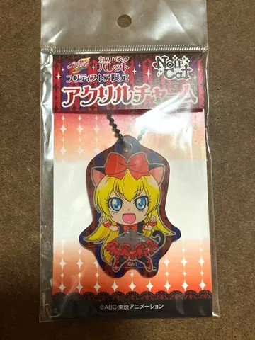 레지나 아크릴 참 카와이로 팔레트 느와르 캣 프리큐어