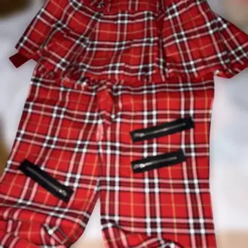 bodyline 팬츠 스커트 한정판 외 2점 구매 시 15% 할인