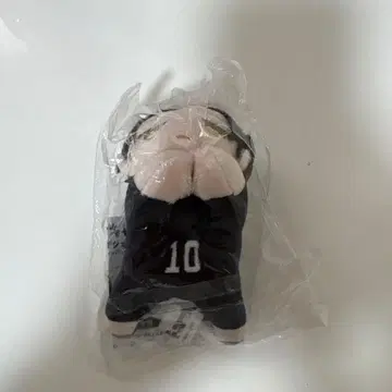 하이큐!! 하그캐라 카쿠나 린타로 봉제 인형