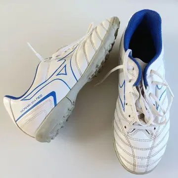 24 미즈노 모나르시다 네오 Mizuno 축구화 트레이닝화