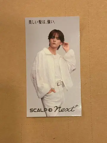 SCALP D Next+ 스티커 나카지마 소우타