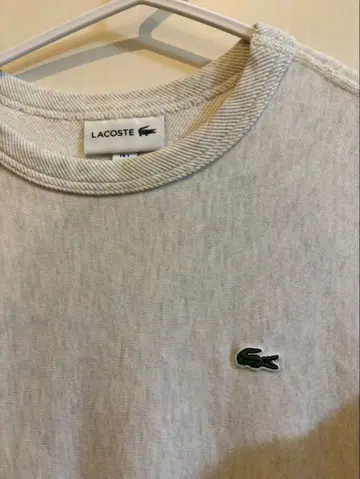 LACOSTE 그레이 트레이닝복 US XXS