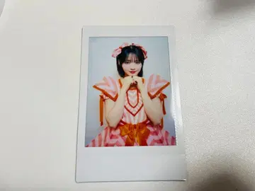 진세이 스즈카 폴라로이드