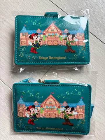 JAL 오리지널 도쿄 디즈니랜드 패스 케이스