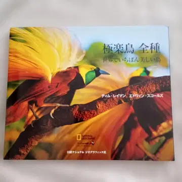 극락조 전종 세계에서 가장 아름다운 새