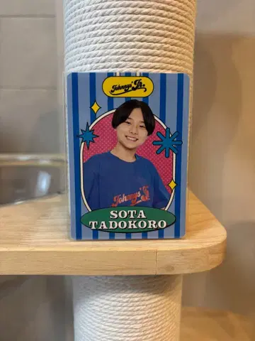 다도코로 소다이 프로카