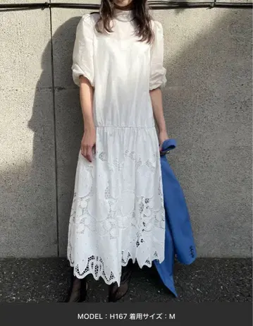 AMERI 2way VOLUME SCALLOP LACE DRESS