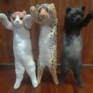 타치이 ZOO 냥코 가오 묶음 판매