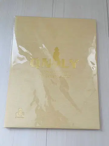 도즈루샤 온리 탄생제 2025