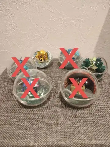 포켓몬 테라리움 컬렉션