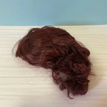 네오 브라이스 두피 부품 샐리 살마간디