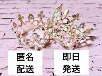 SEVENTEEN 캐럿봉 carat봉 티아라 왕관 응원봉 덕질