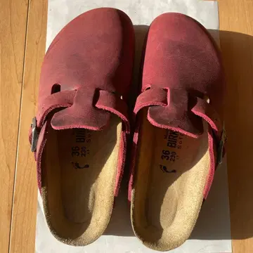 빌켄슈톡 보스턴