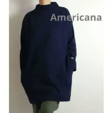 아메리카나 빅 터틀 원피스 쉽스, 저널 스탠다드 계열