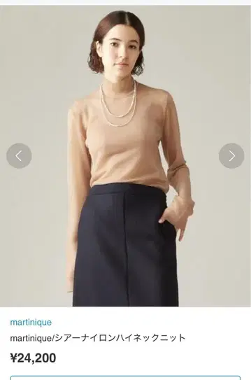 시어 나일론 하이넥 니트 마르티니크