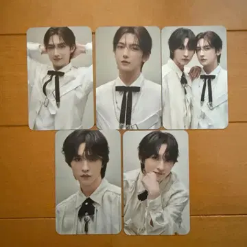 ROIROM 랜덤 포토 카드 혼다 타히로 하마카와 미치키 트레이딩 카드