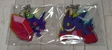 포켓몬 아크릴 키링 컬렉션 메가진화 포켓몬 & 메가스톤